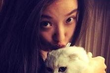 娱乐吃瓜君网红虐猫是谁